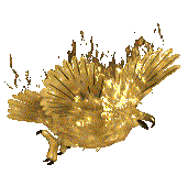 sacred-phoenix